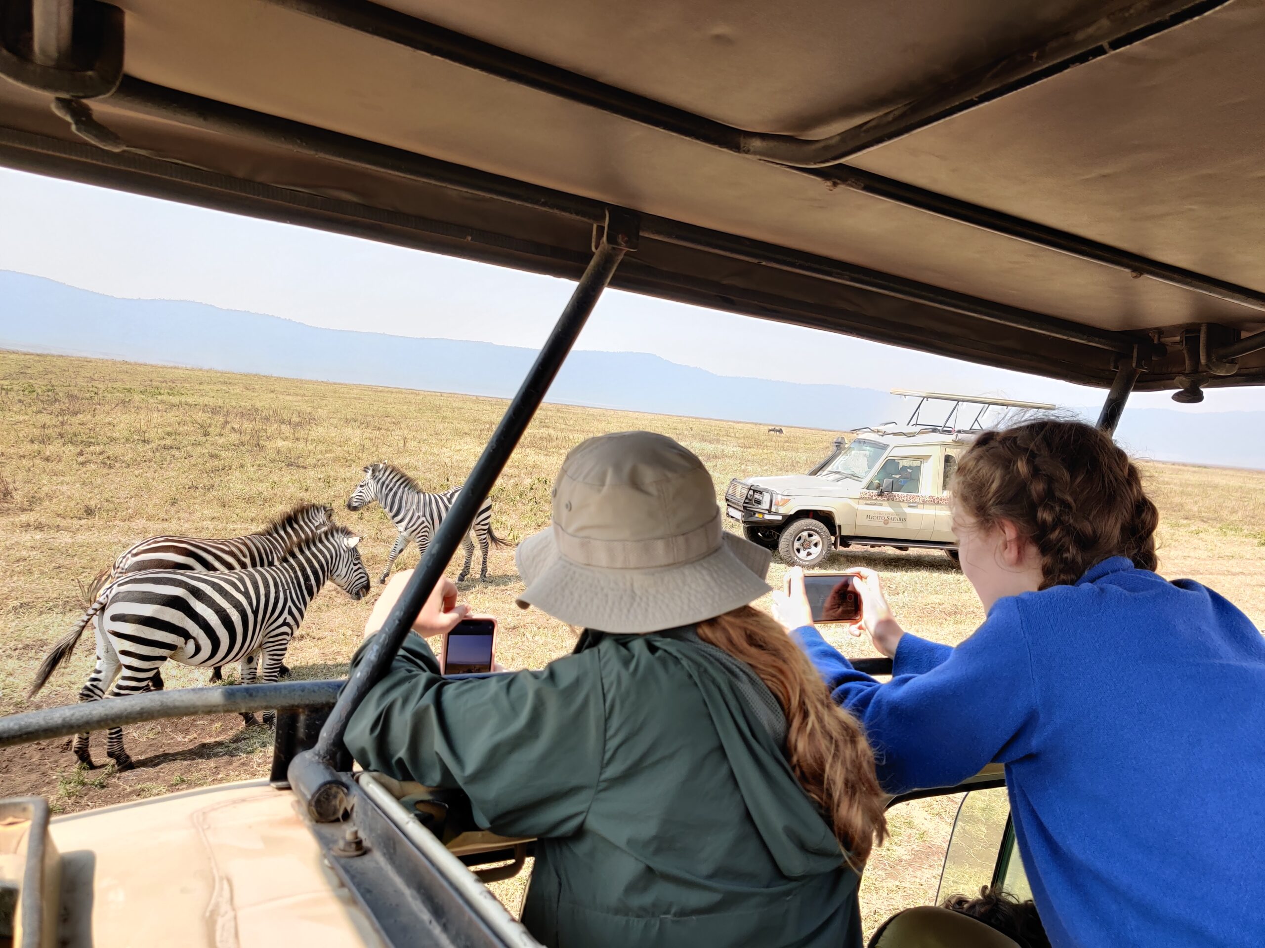 Go Vision safari guests observing zebras during a Northern Tanzania game drive
