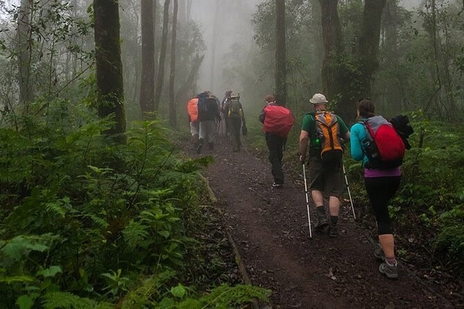 Kilimanjaro Mountain Machame route