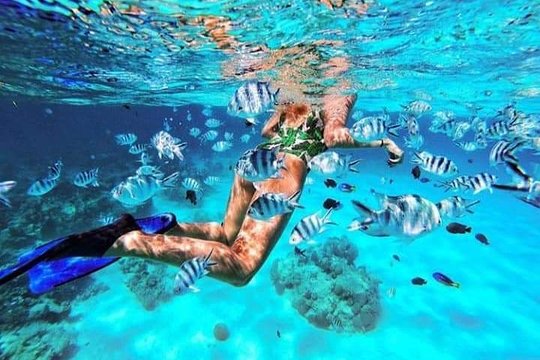 Snorkelling in clear tropical waters near Paje and Bwejuu on Zanzibar south-east coast