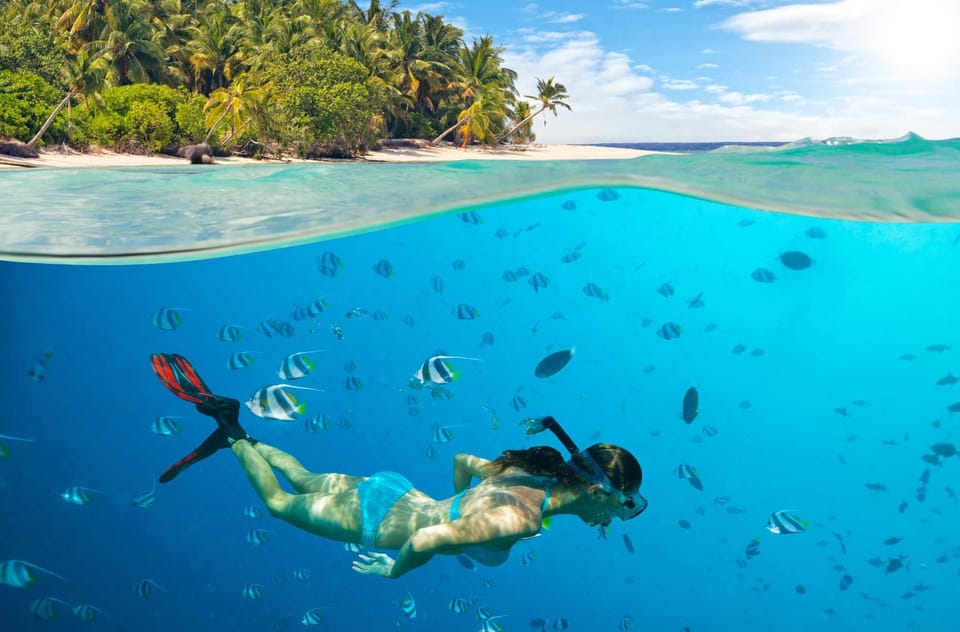 Snorkelling among tropical fish in the clear Indian Ocean waters of Zanzibar