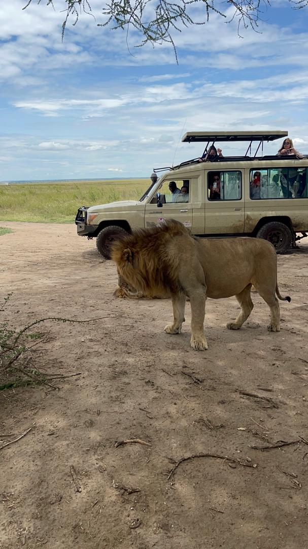 Meaningful Tanzania safari experience with Go Vision Safaris supporting local travel and conservation awareness