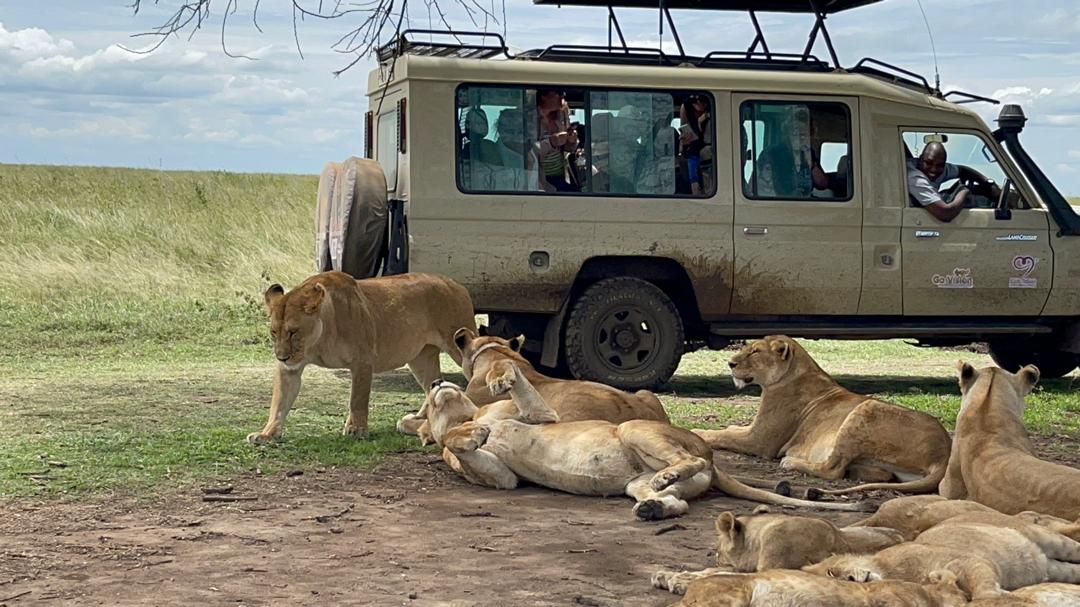 Go Vision Safaris journey by road through northern Tanzania toward Serengeti National Park