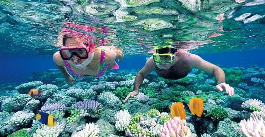 Travellers snorkelling above a colourful coral reef in the clear waters of Zanzibar