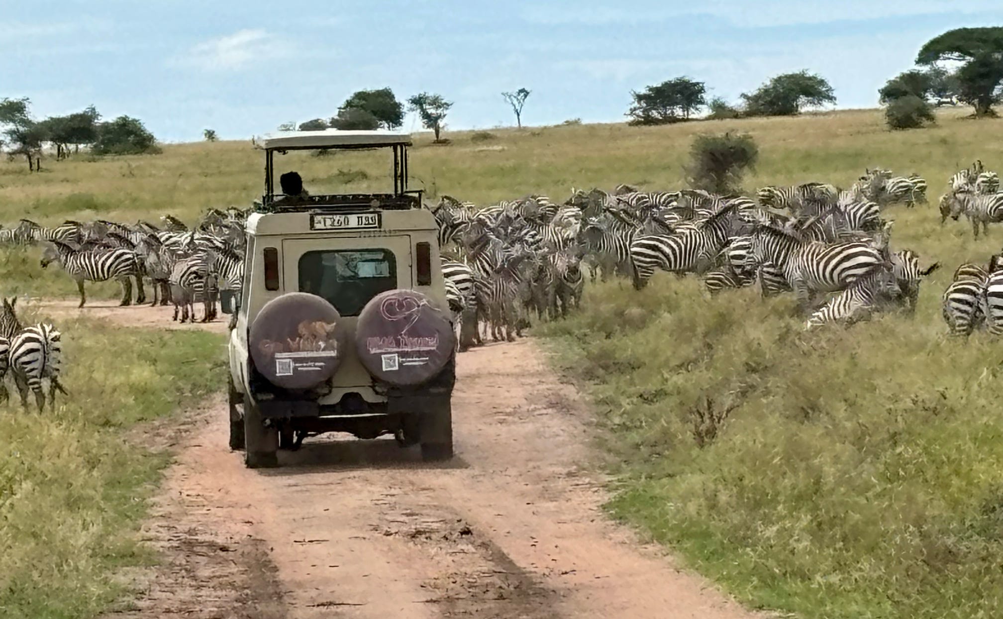 Tanzania safari journey with Go Vision Safaris