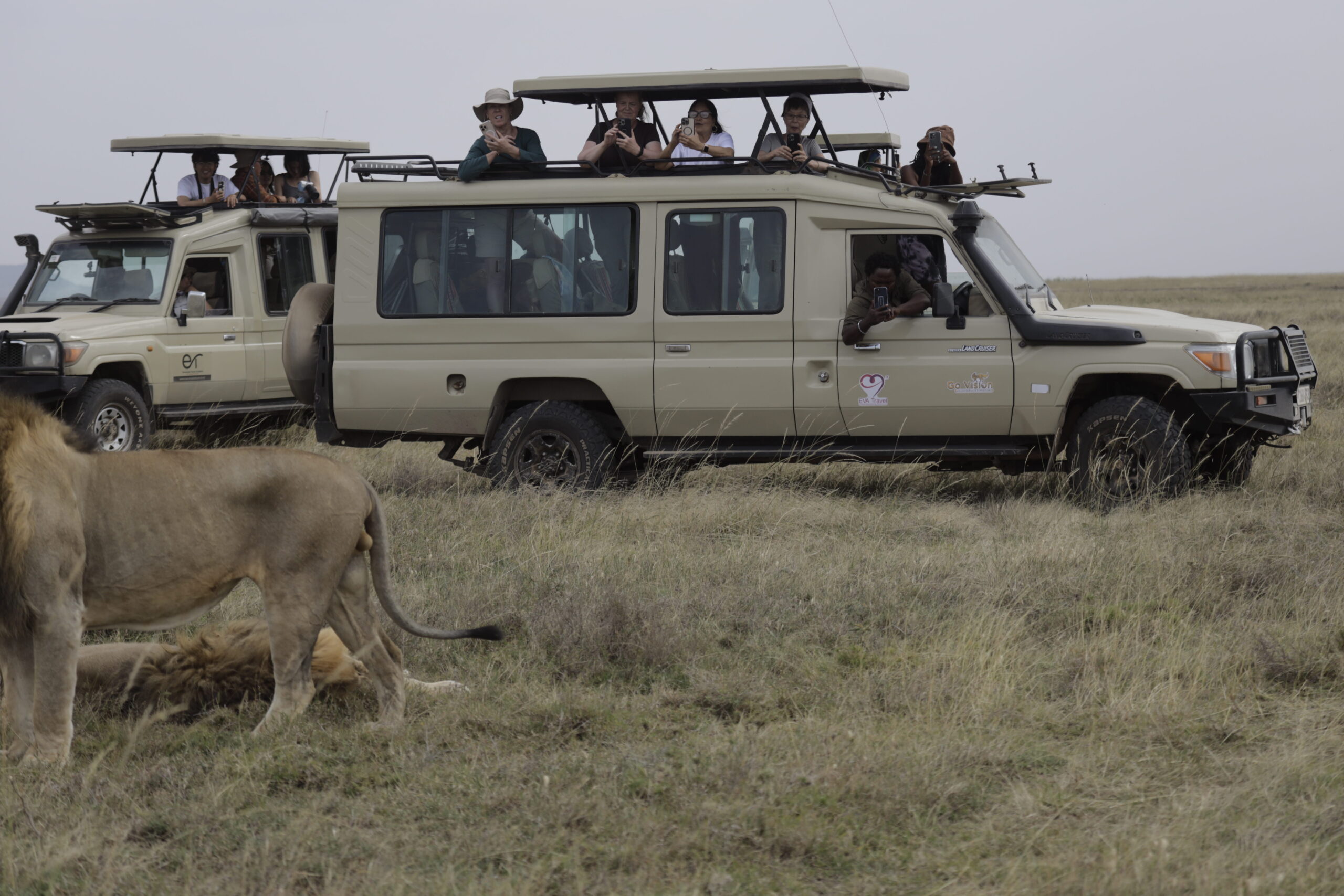 GoVision Safaris guest enjoying a private wildlife journey in Tanzania