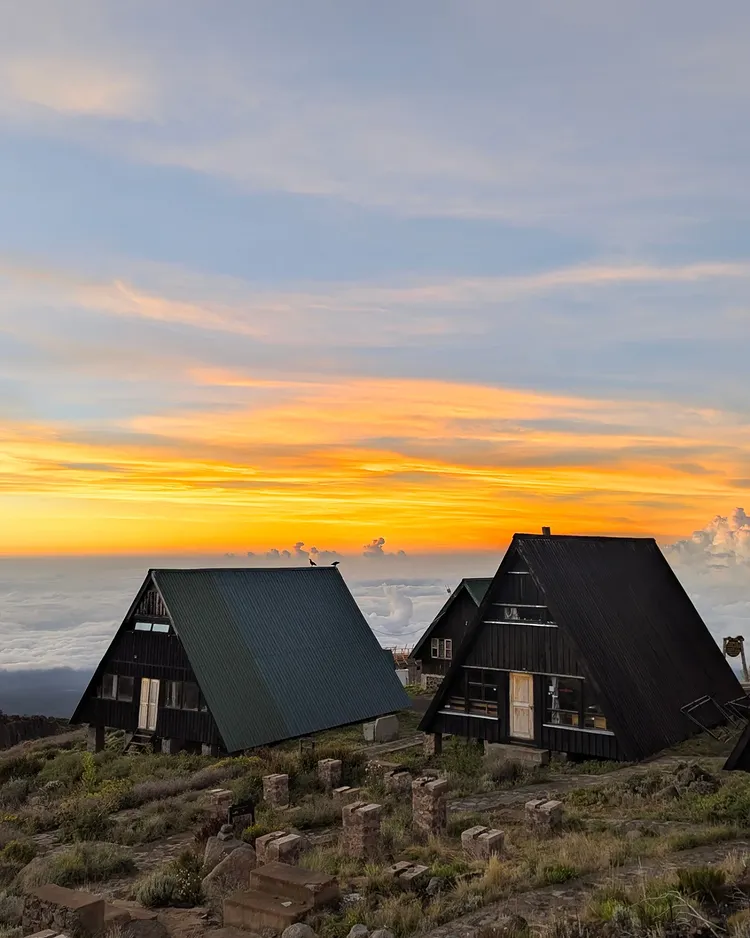 Scenic Mount Kilimanjaro landscape in Tanzania with Go Vision Safaris