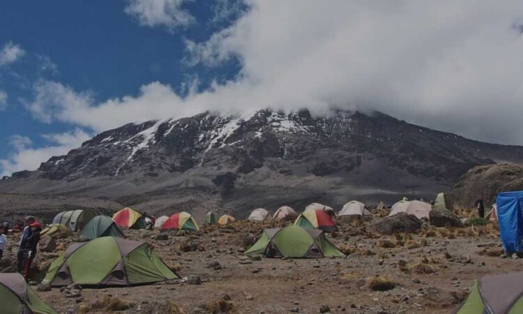 Mti Mkubwa Big Tree Camp on Mount Kilimanjaro Northern Circuit Route with Go Vision Safaris