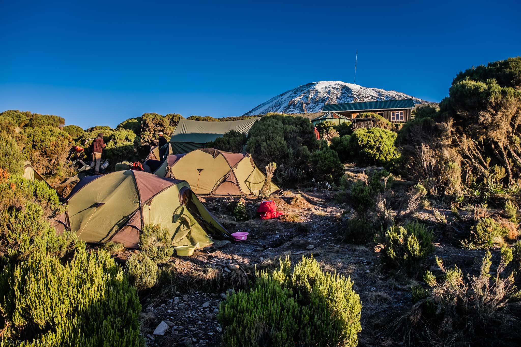 Kilimanjaro mountain camp during a Go Vision Safaris climbing journey in Tanzania